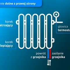 Schemat grzejnika z podłączeniem dolnym. Pokazuje odpowietrzacz, korek, głowicę termostatyczną, powrót i zasilanie. Czy grzejnik powinien być w poziomie? Tak, tak jest pokazany.