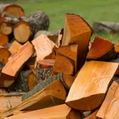 Stos drewna olchowego, idealnego na opał do kominka, leży na trawie.