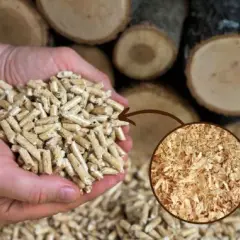 Jak produkować pellet: Kluczowe etapy i tajemnice efektywnej produkcji