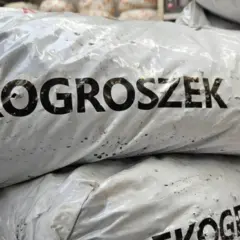 Czy ekogroszek będzie zakazany? Sprawdź, co to oznacza dla Ciebie