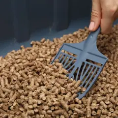 Dłoń z łopatką do żwirku przesypuje pellet z trocin w pojemniku.