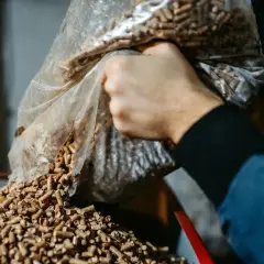 Ręka wsypuje pellet z trocin z worka. Tak powstaje ekologiczne paliwo.