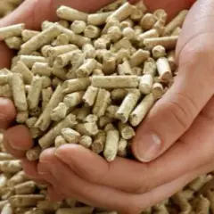 Czy pellet to biomasa? Zaskakujące fakty o ekologicznych źródłach energii