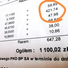 Szczegółowy rachunek za ogrzewanie w bloku. Jak obliczyć koszty ogrzewania w bloku? Suma opłat: 1100,02 zł.