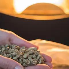Czy piec na pellet powinien pracować cały czas? Odkryj prawdę o kosztach i komforcie