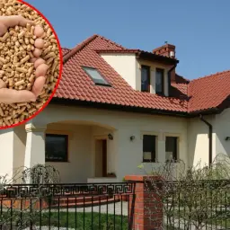 Dylemat: ogrzewanie pelletem czy gazem? Dwie dłonie trzymają pellet, a w tle dom z czerwonym dachem.