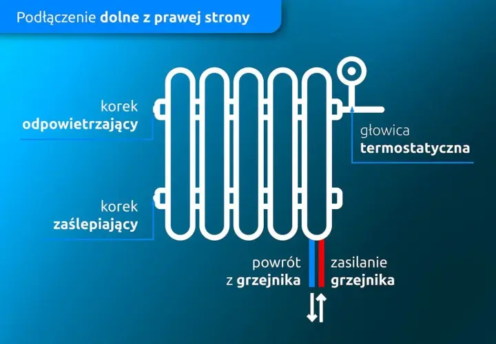 Schemat grzejnika z podłączeniem dolnym. Pokazuje odpowietrzacz, korek, głowicę termostatyczną, powrót i zasilanie. Czy grzejnik powinien być w poziomie? Tak, tak jest pokazany.