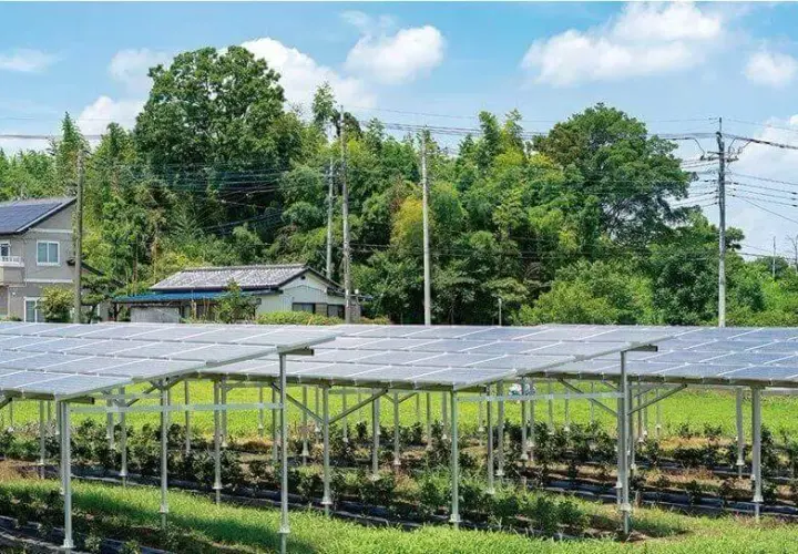 Jakie korzyści oferuje agrofotowoltaika dla rolnictwa i energetyki