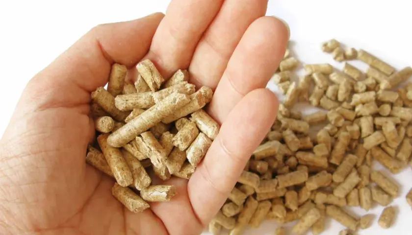 Dłoń trzymająca pellet, który jest rodzajem biomasy. W tle rozsypane granulki.