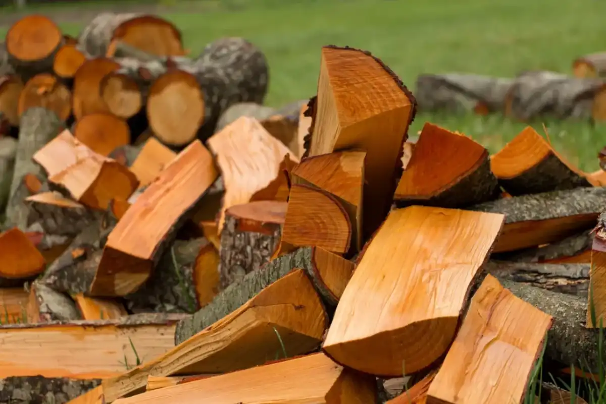 Czy olcha nadaje się do kominka - Kiedy sprawdzi się najlepiej?