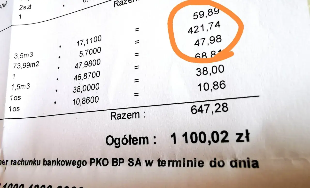 Szczegółowy rachunek za ogrzewanie w bloku. Jak obliczyć koszty ogrzewania w bloku? Suma opłat: 1100,02 zł.