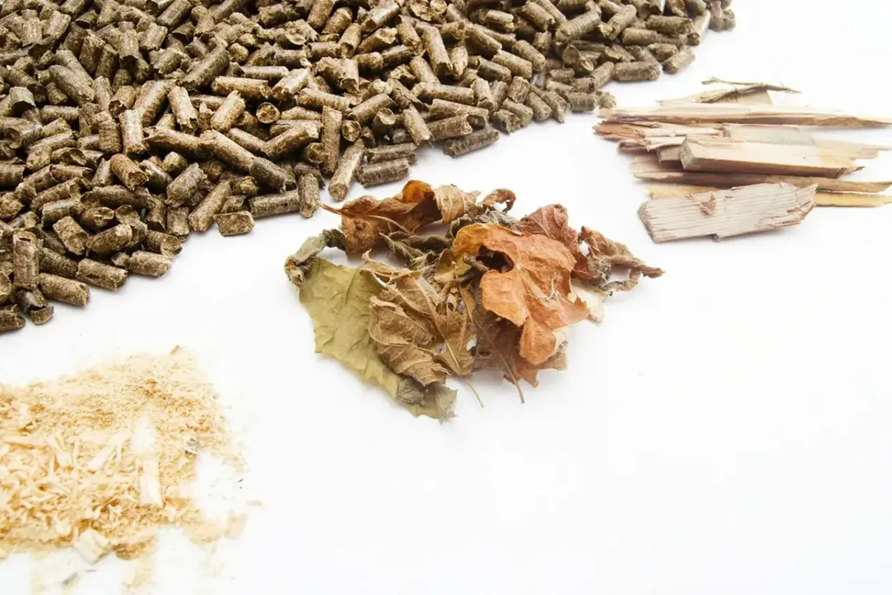 Surowce do produkcji pelletu: trociny, suche liście, kawałki drewna i gotowy pellet. Dowiedz się, jak wyprodukować pellet.