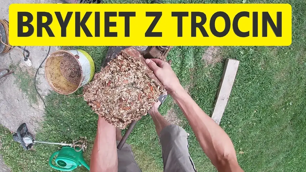 Zdjęcie Jak zrobić brykiet z trocin - proste kroki, by uniknąć marnotrawstwa